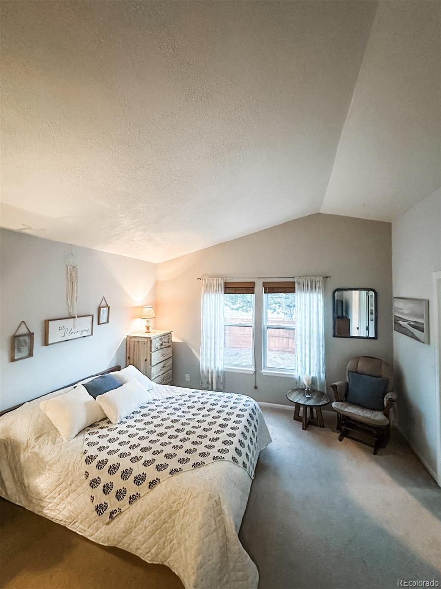 MLS Image #19 for 2340  sweet water court,colorado springs, Colorado