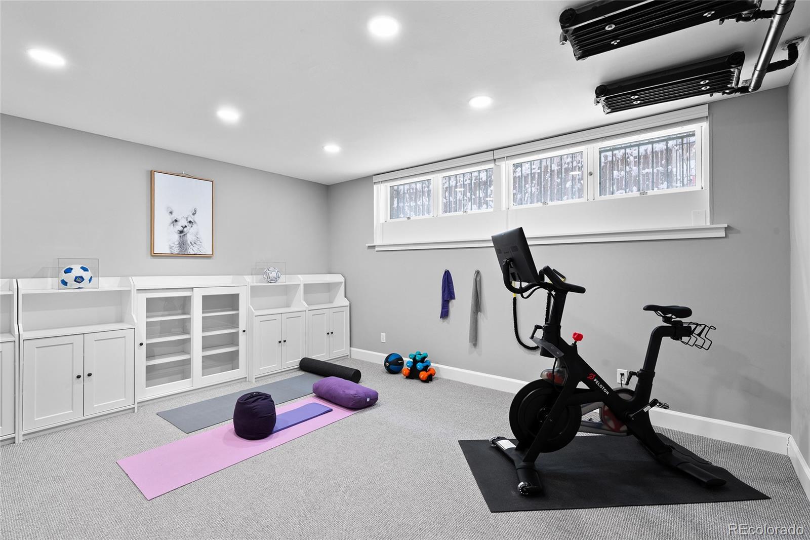 MLS Image #42 for 815  gaylord street,denver, Colorado