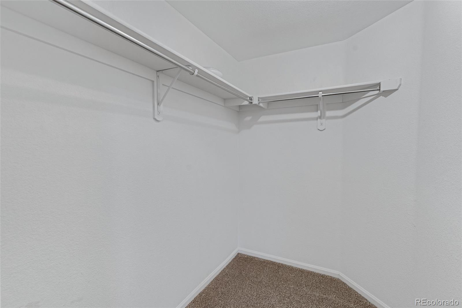 MLS Image #14 for 10715  twenty mile road,parker, Colorado