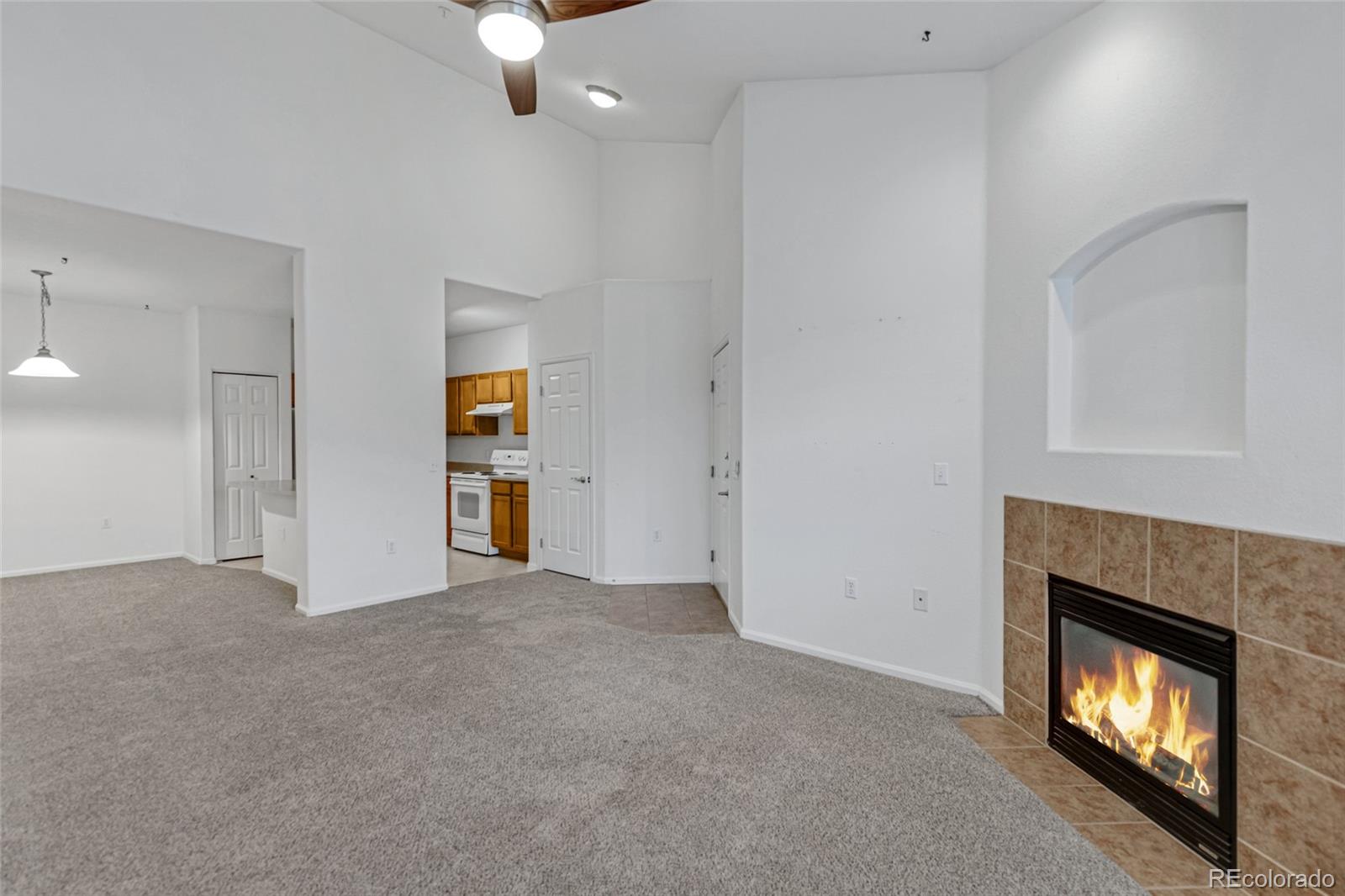 MLS Image #3 for 10715  twenty mile road,parker, Colorado