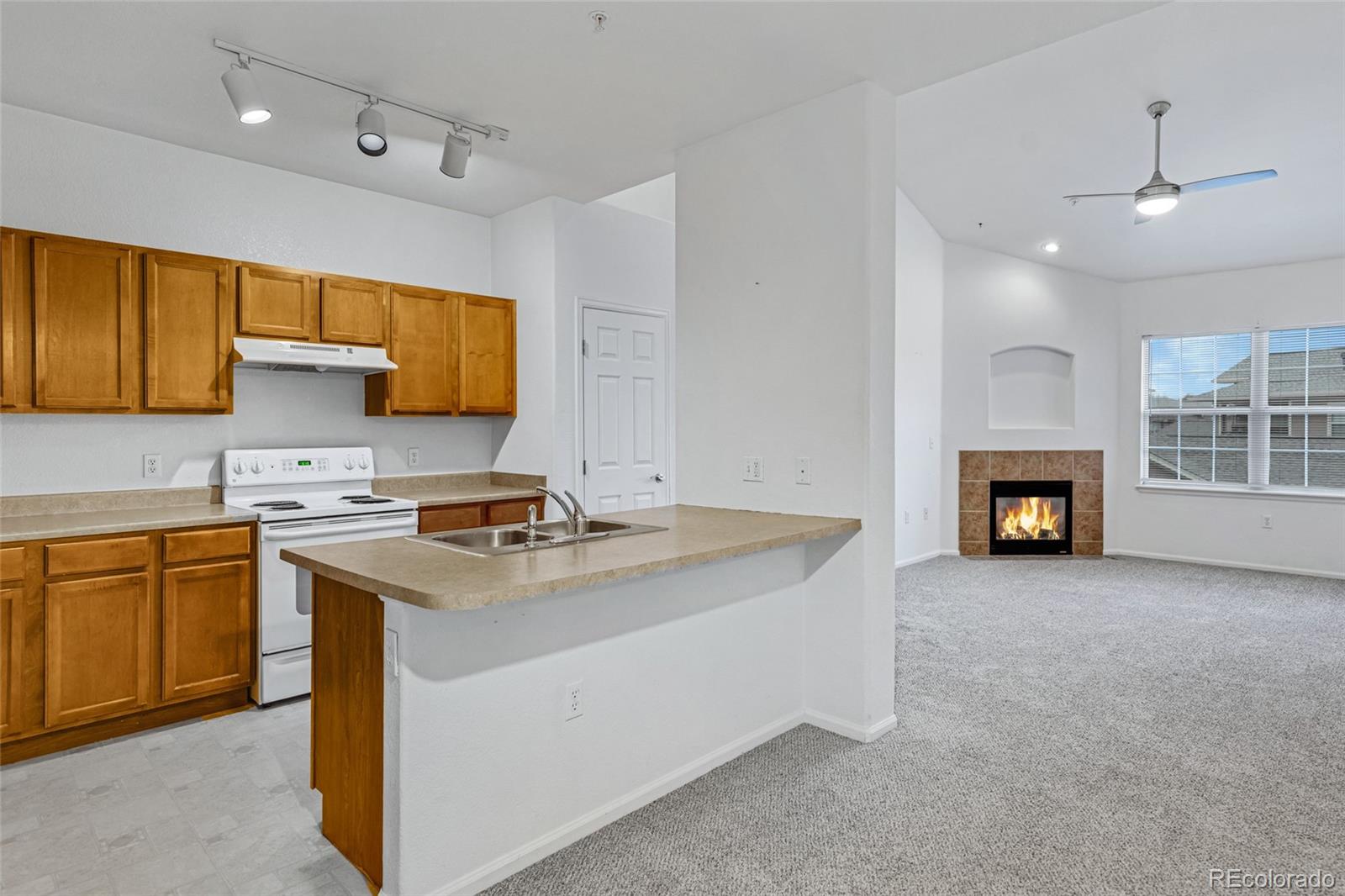 MLS Image #5 for 10715  twenty mile road,parker, Colorado