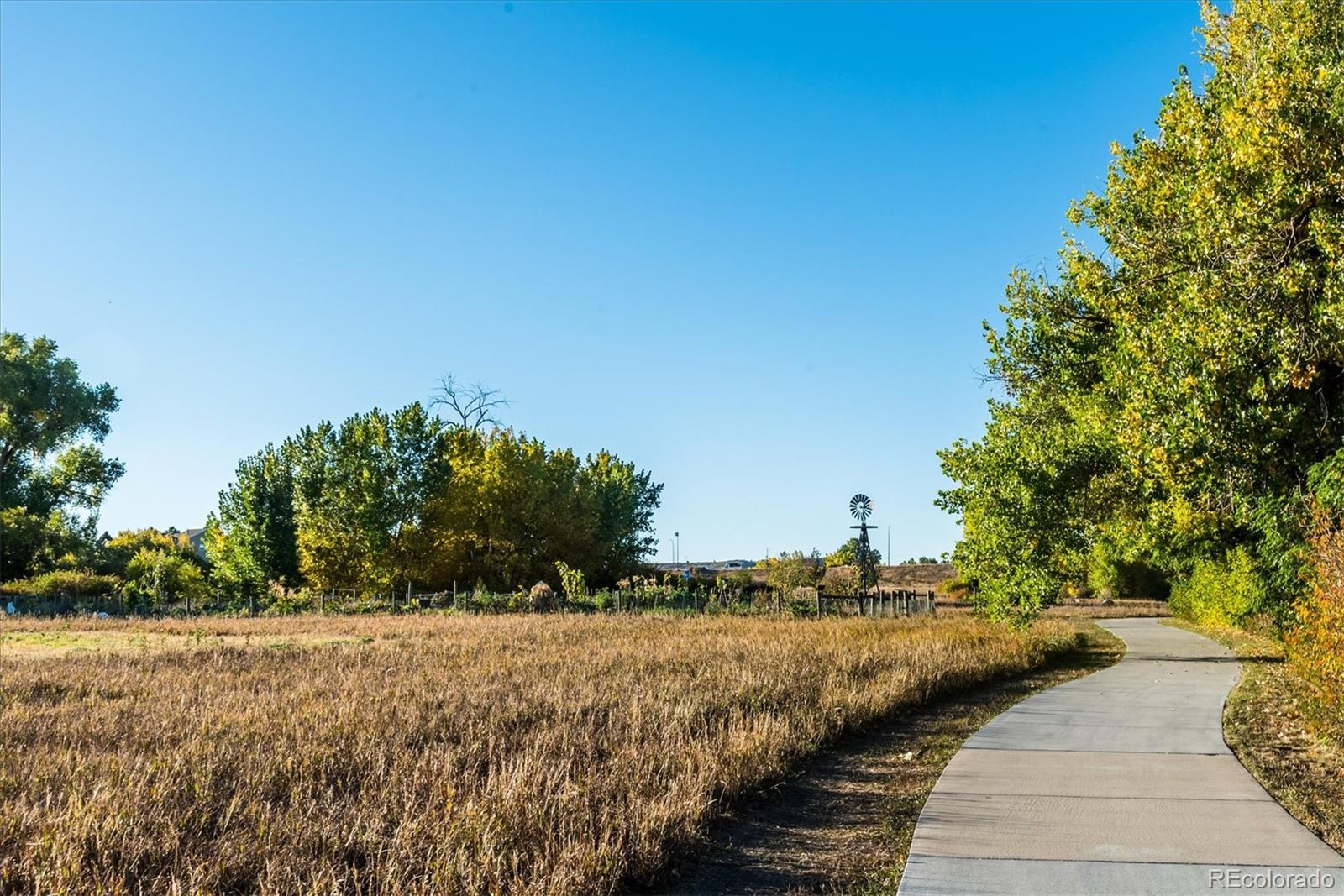 MLS Image #28 for 4241  brookwood place,highlands ranch, Colorado