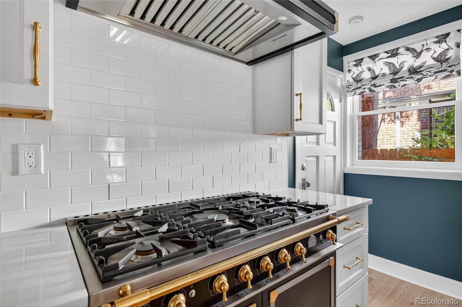 MLS Image #12 for 1040 n humboldt street,denver, Colorado