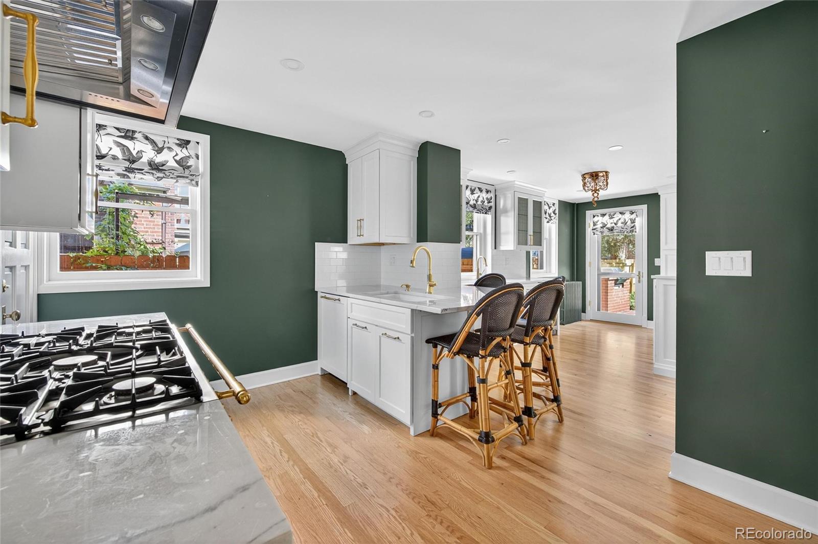 MLS Image #13 for 1040 n humboldt street,denver, Colorado