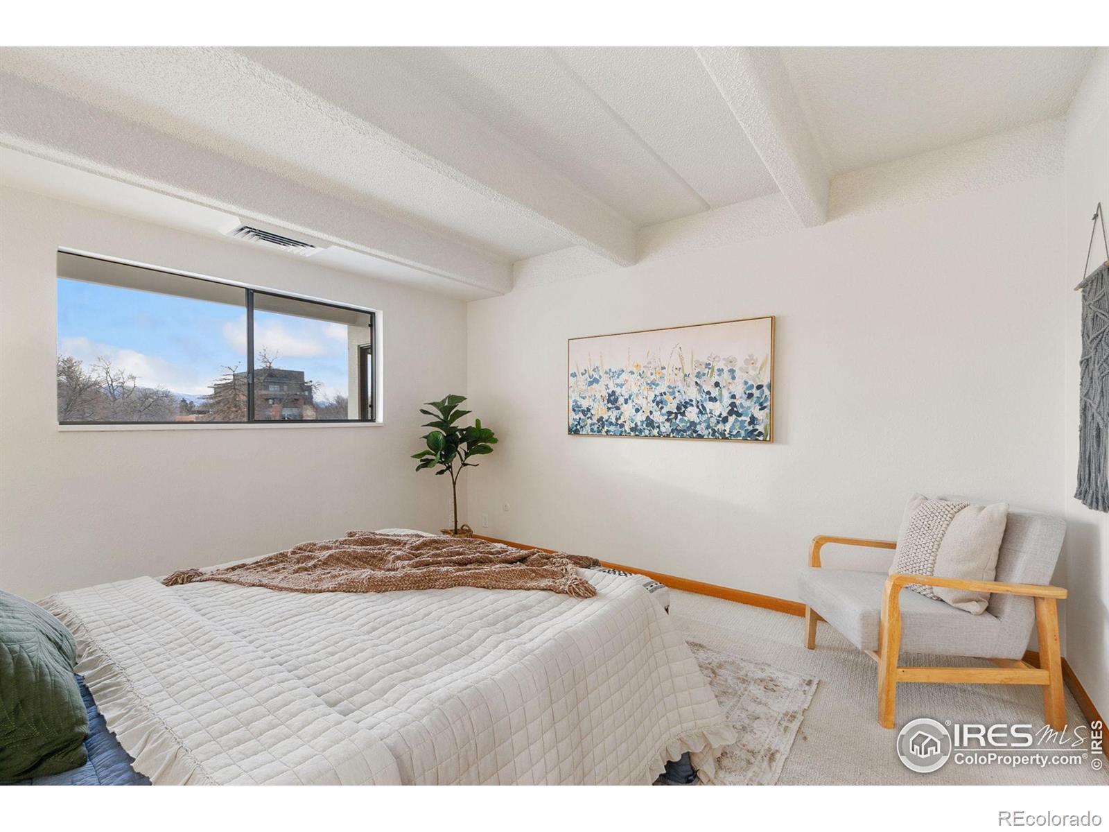MLS Image #11 for 415 s howes street,fort collins, Colorado