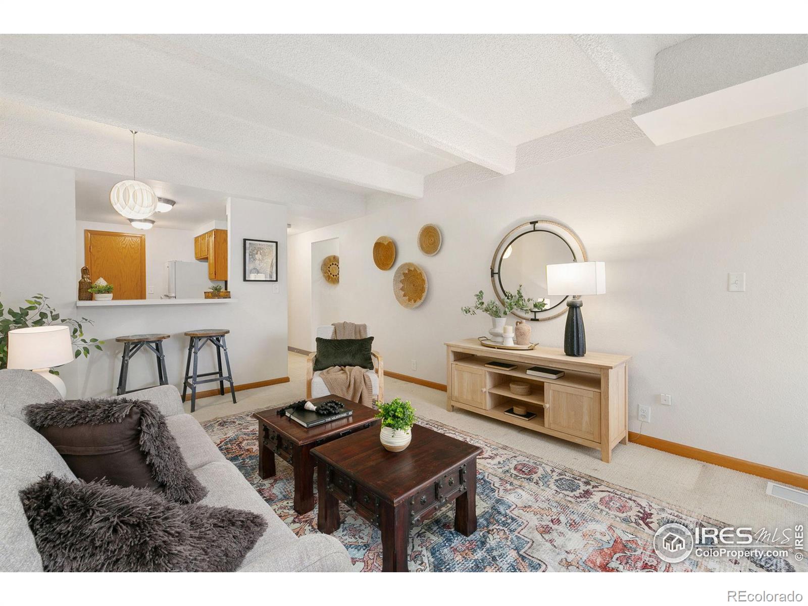 MLS Image #9 for 415 s howes street,fort collins, Colorado