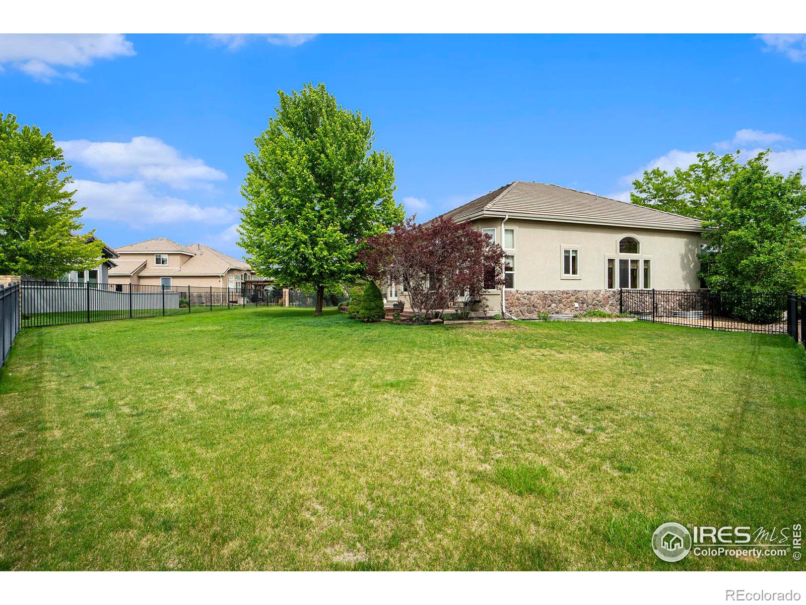CMA Image for 1983  cayman drive,Windsor, Colorado