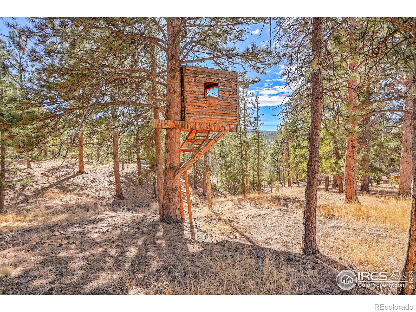MLS Image #22 for 290  clark road,bailey, Colorado