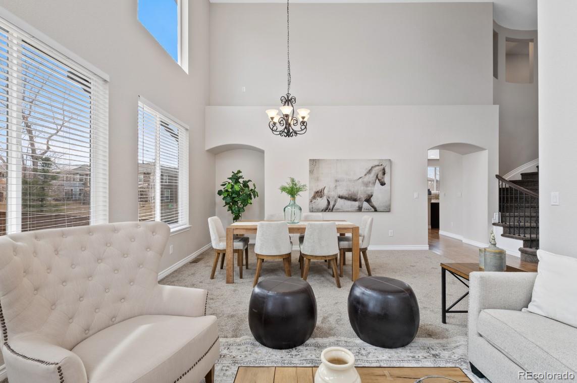 MLS Image #12 for 11010  grayledge circle,highlands ranch, Colorado