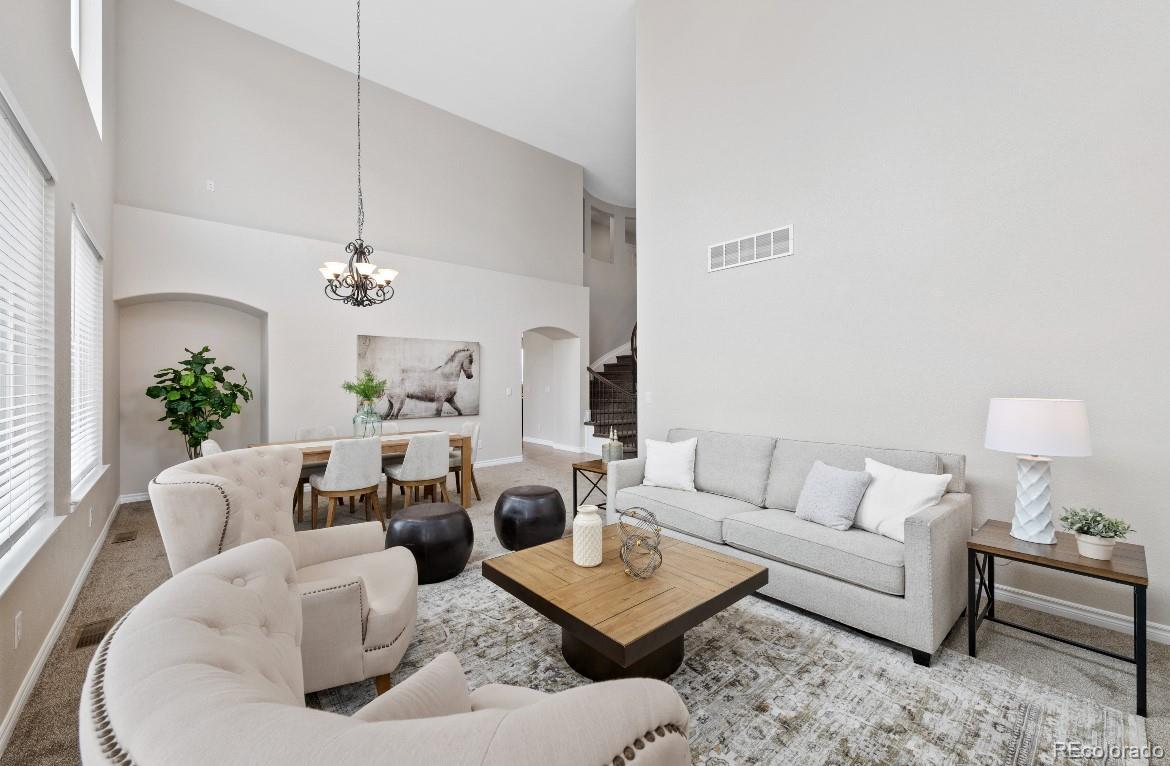 MLS Image #14 for 11010  grayledge circle,highlands ranch, Colorado