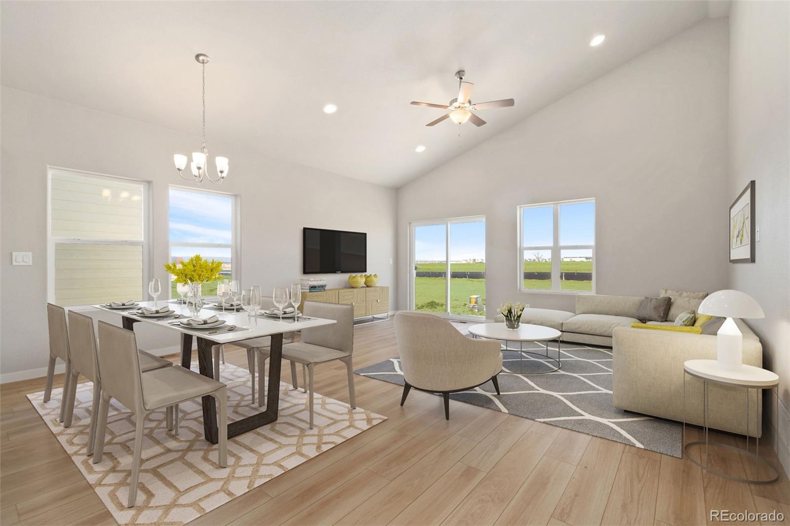 MLS Image #9 for 754  anderson street,lochbuie, Colorado