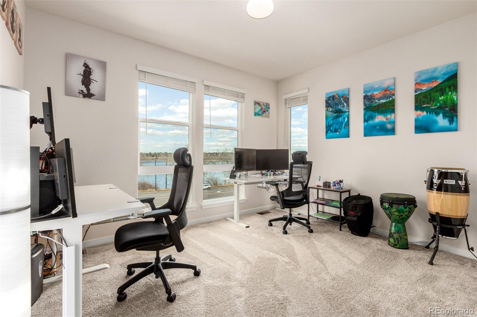 MLS Image #21 for 2641  channel drive,highlands ranch, Colorado