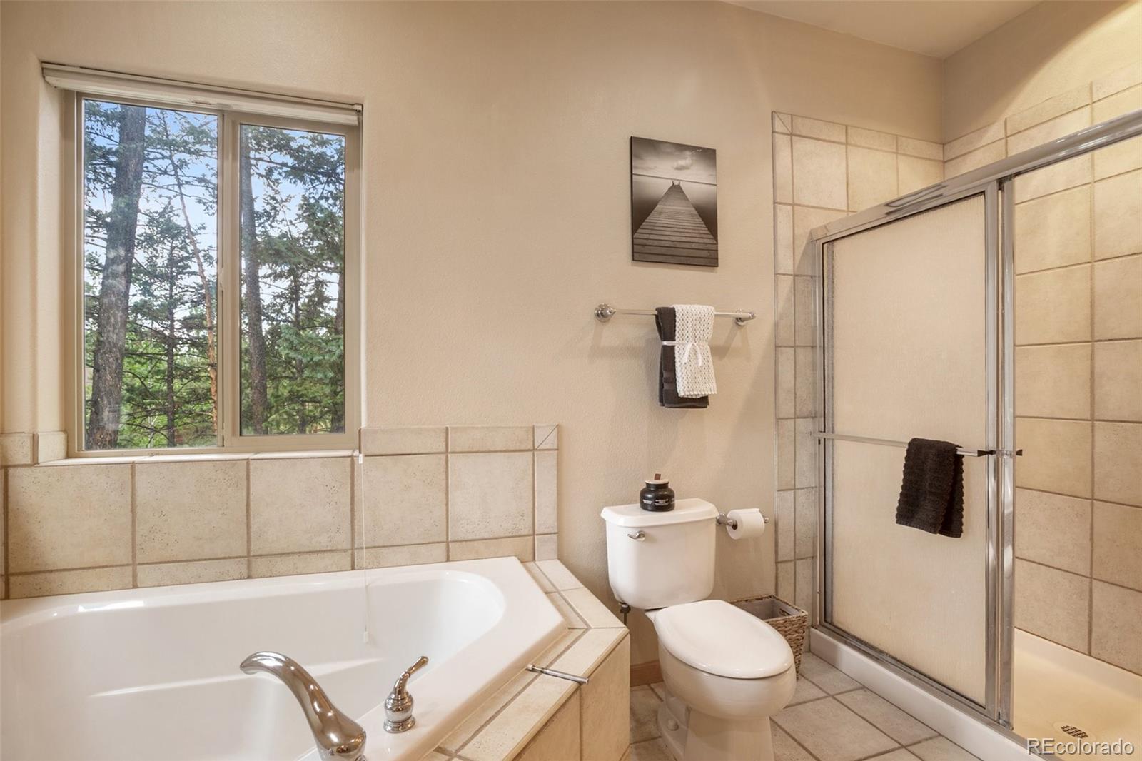 MLS Image #23 for 1020  skyline court,woodland park, Colorado