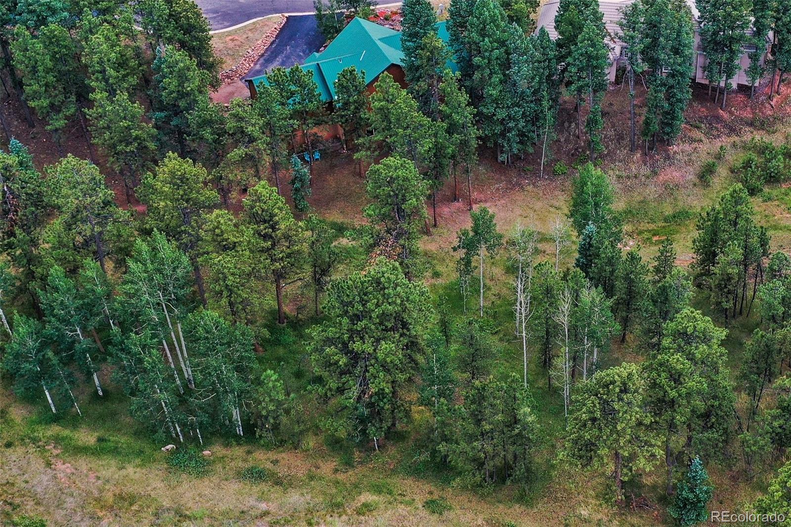 MLS Image #49 for 1020  skyline court,woodland park, Colorado