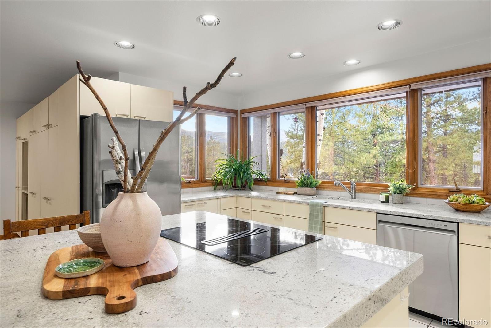 MLS Image #11 for 1056  county road 65 ,evergreen, Colorado