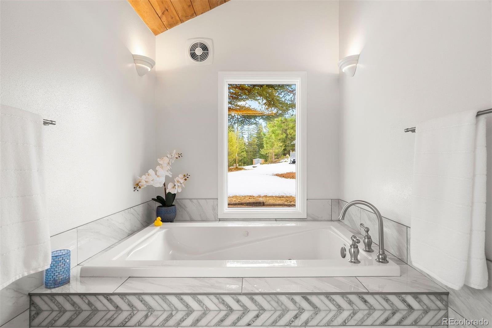 MLS Image #19 for 1056  county road 65 ,evergreen, Colorado