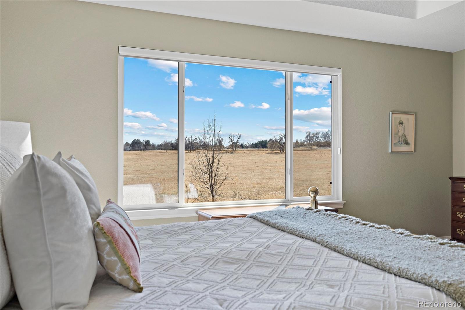 MLS Image #15 for 5686  brook hollow drive,broomfield, Colorado
