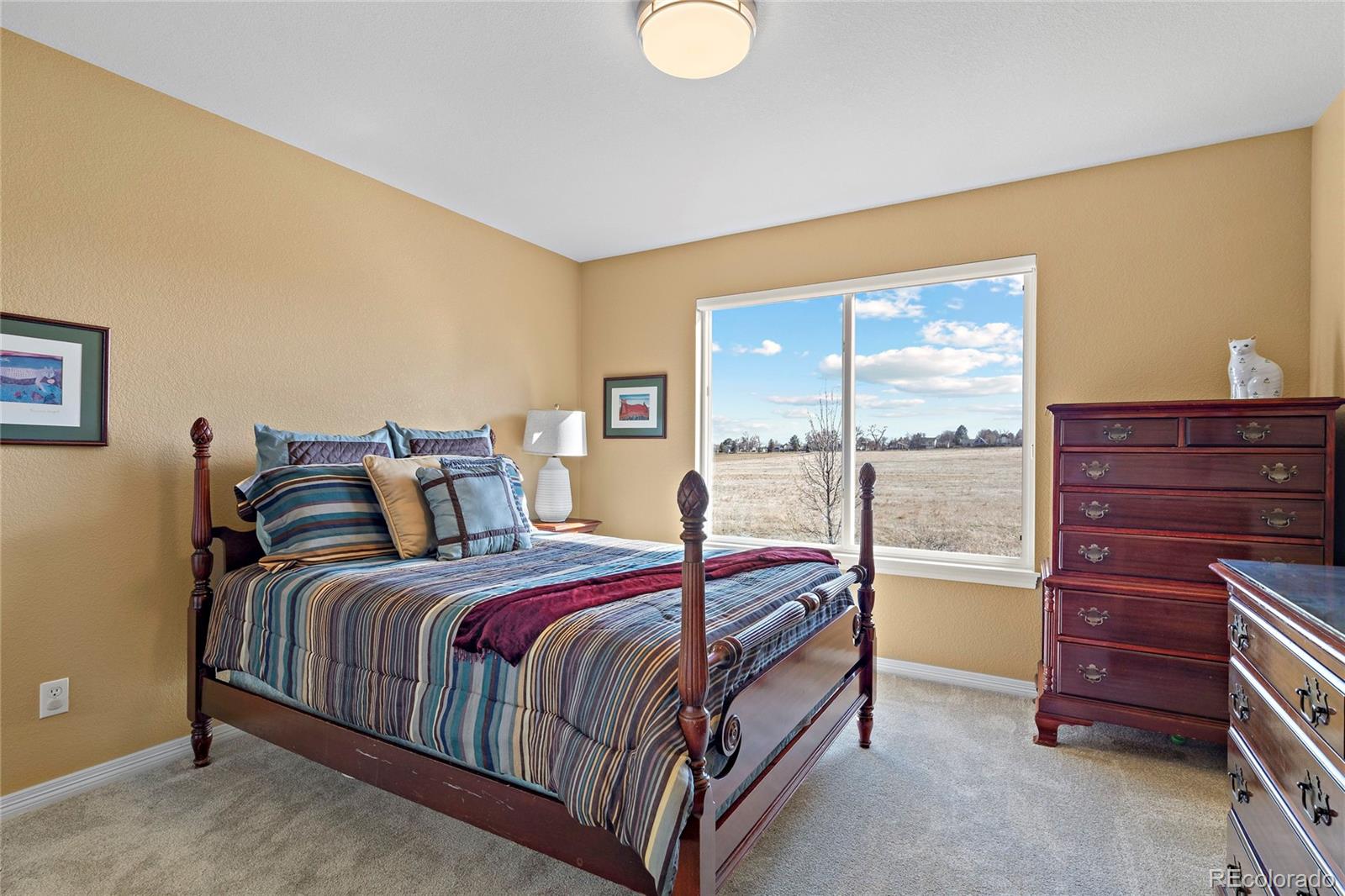 MLS Image #19 for 5686  brook hollow drive,broomfield, Colorado