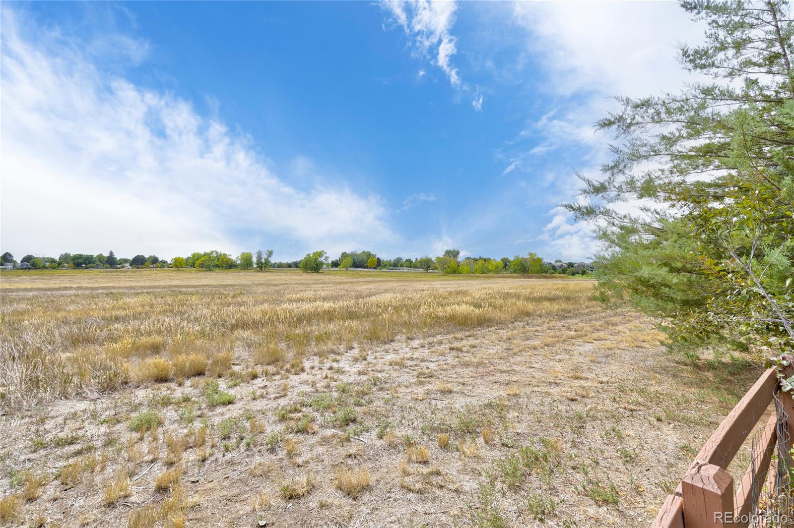 MLS Image #31 for 5686  brook hollow drive,broomfield, Colorado