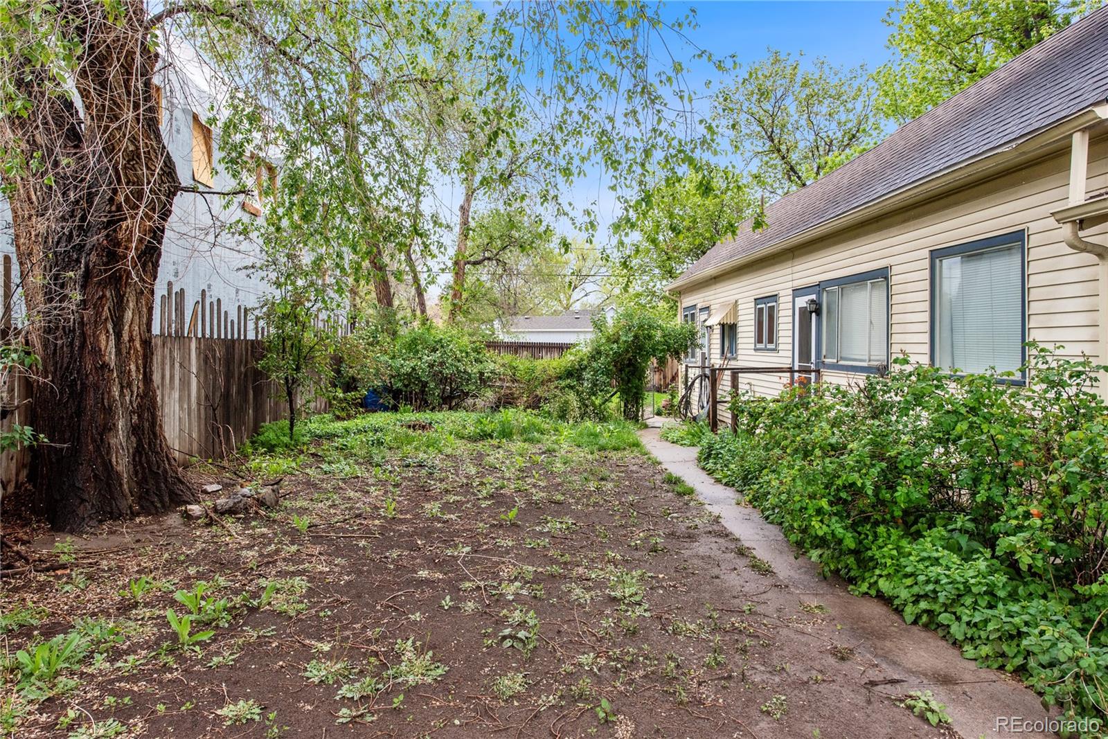 MLS Image #2 for 4151  zenobia street,denver, Colorado