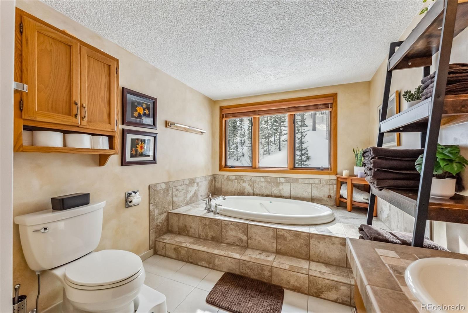 MLS Image #24 for 290  broken lance drive b202,breckenridge, Colorado