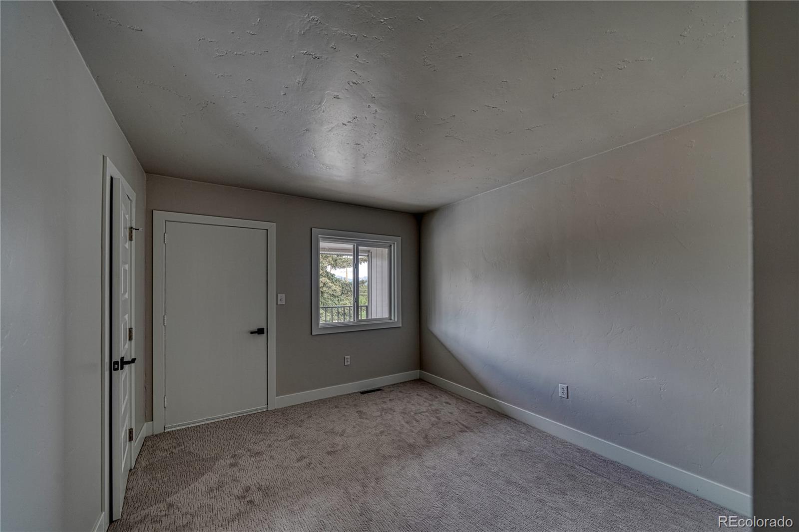 MLS Image #6 for 921  mt massive drive,leadville, Colorado