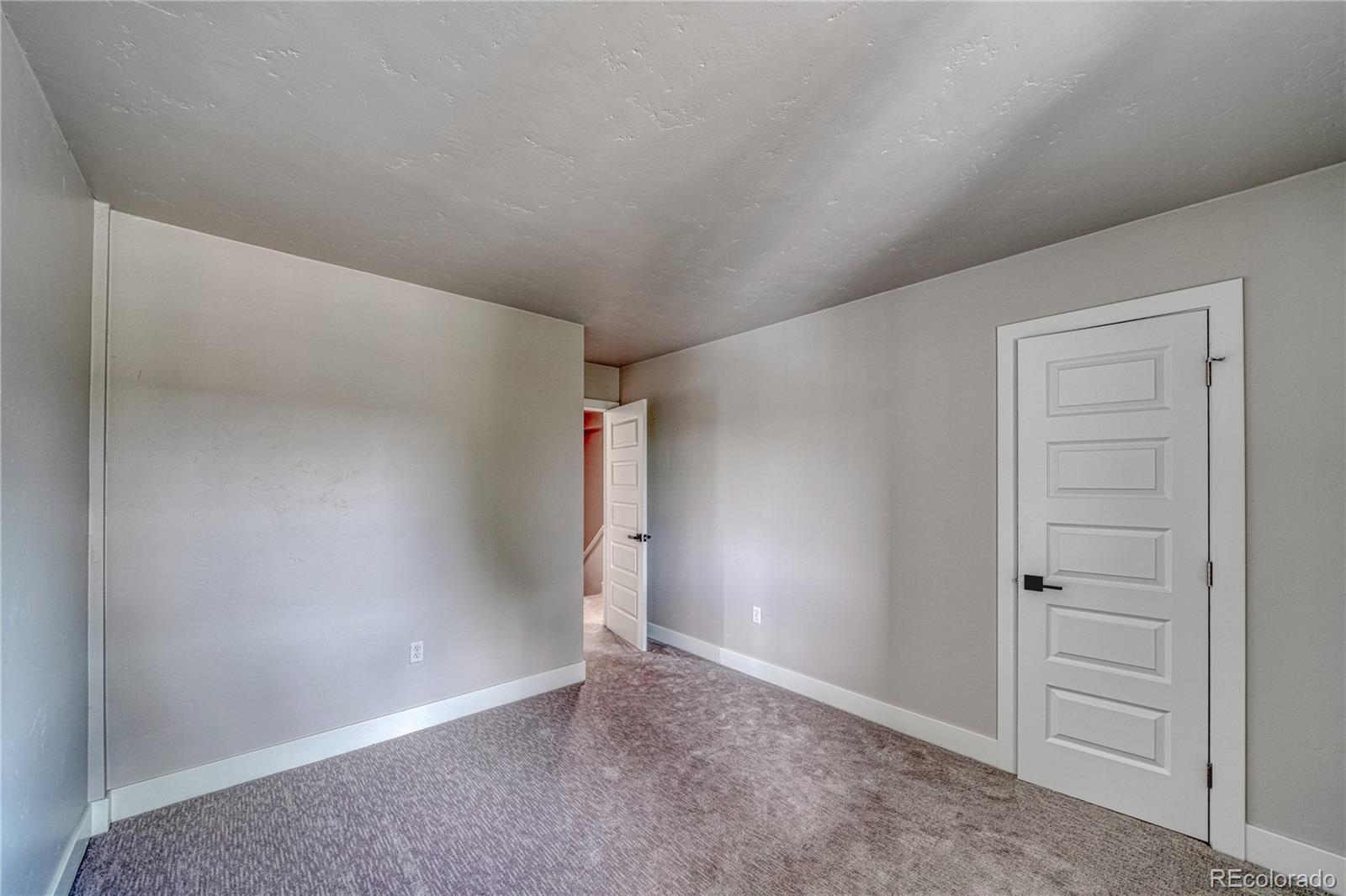 MLS Image #7 for 921  mt massive drive,leadville, Colorado