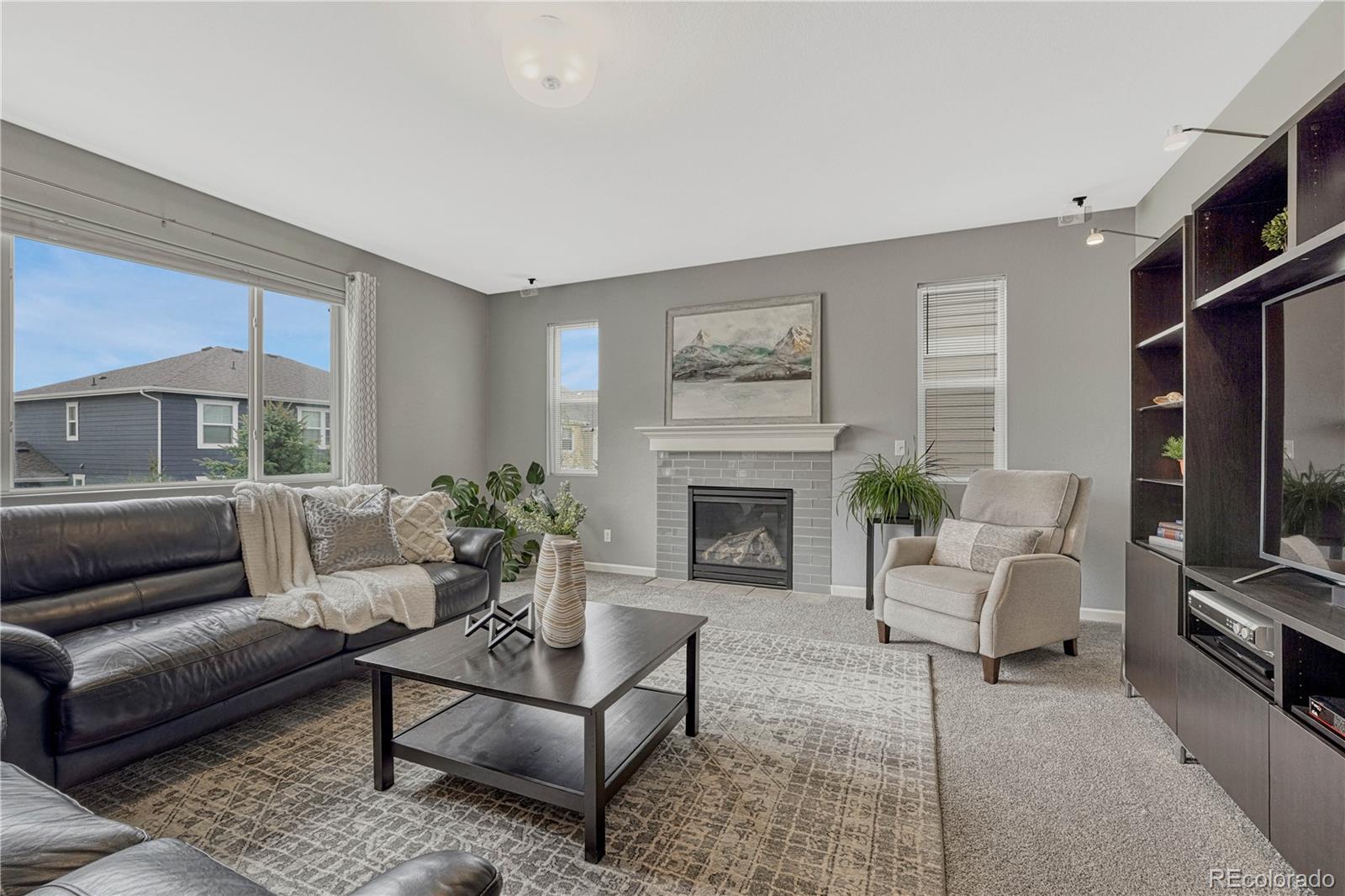 MLS Image #11 for 5831  leon young drive,colorado springs, Colorado