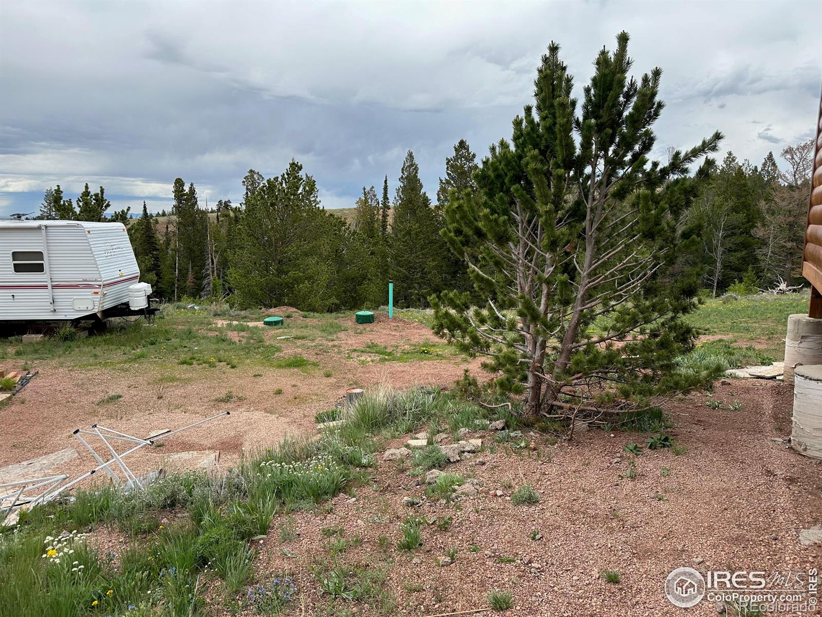MLS Image #20 for 432  forest way,red feather lakes, Colorado