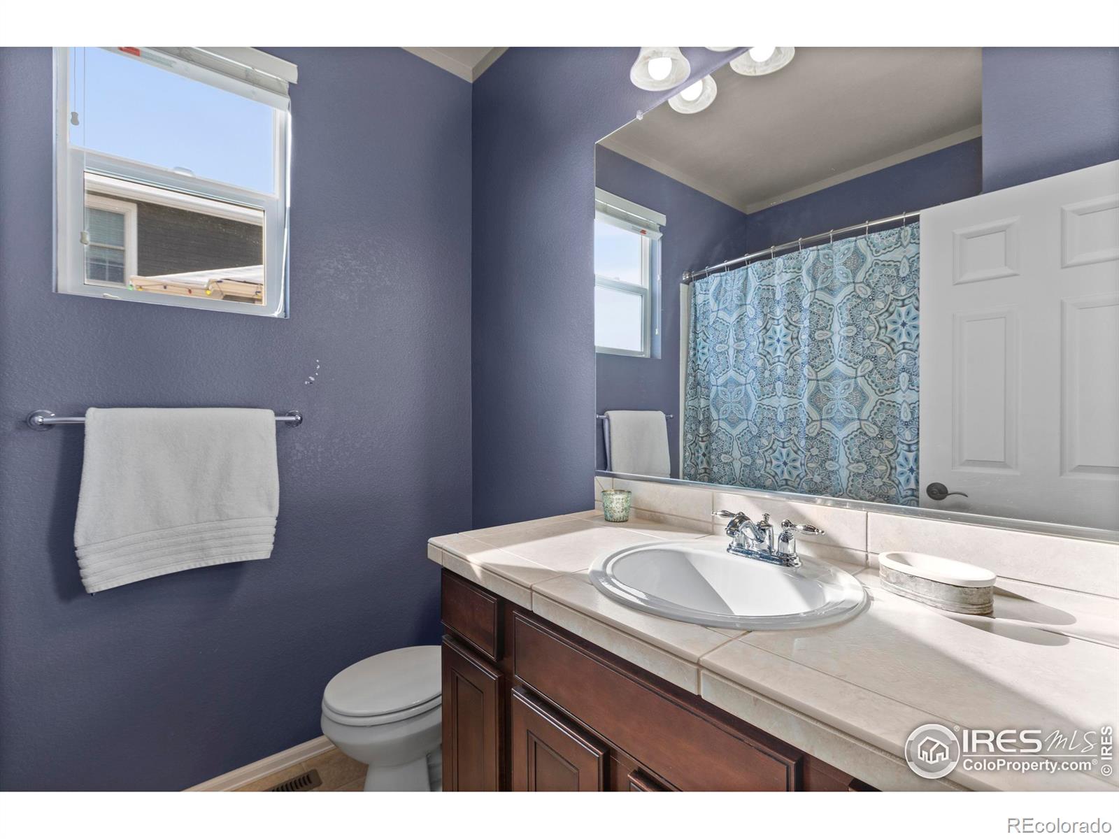 MLS Image #22 for 5633  claret street,timnath, Colorado