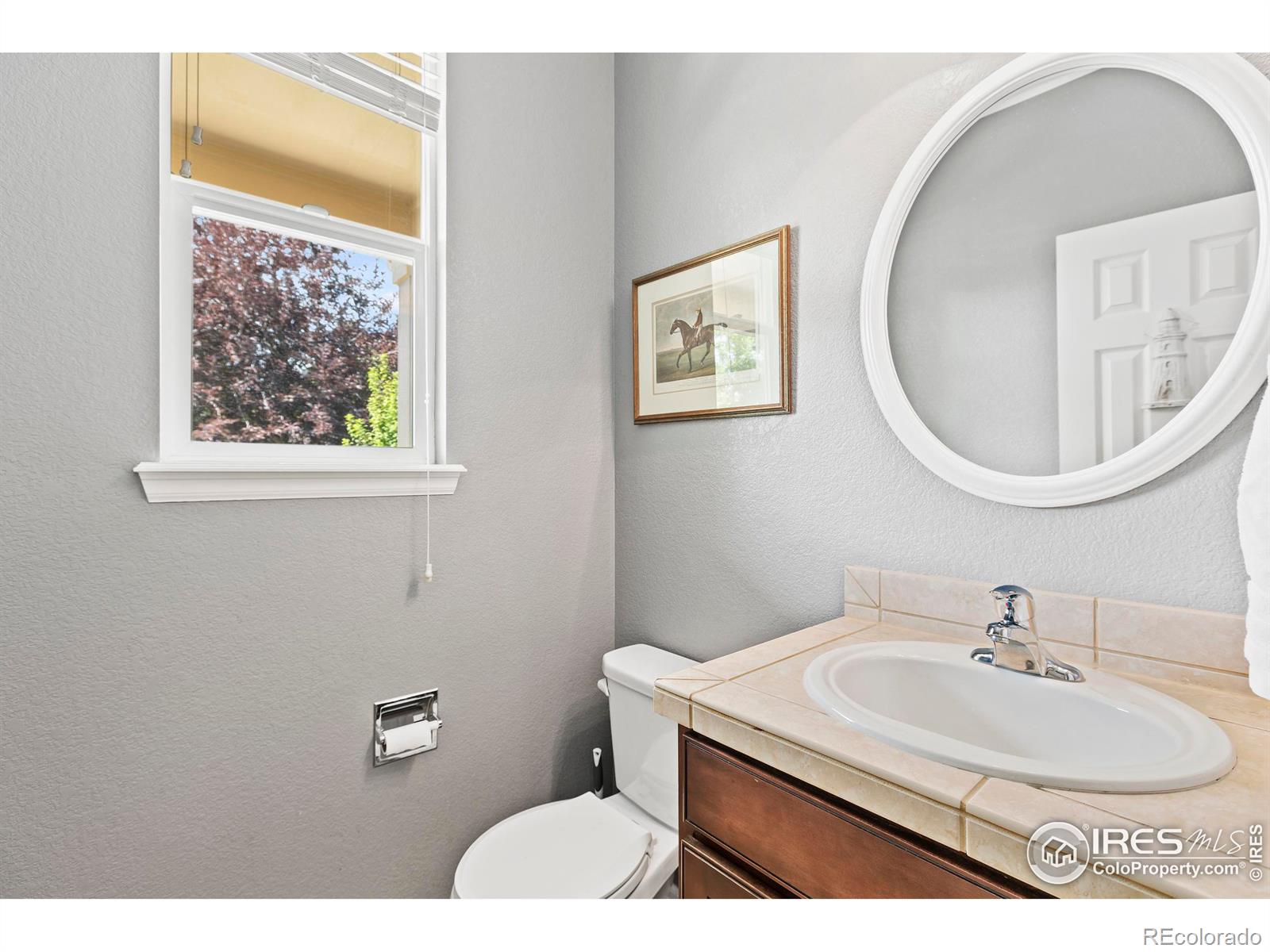 MLS Image #24 for 5633  claret street,timnath, Colorado