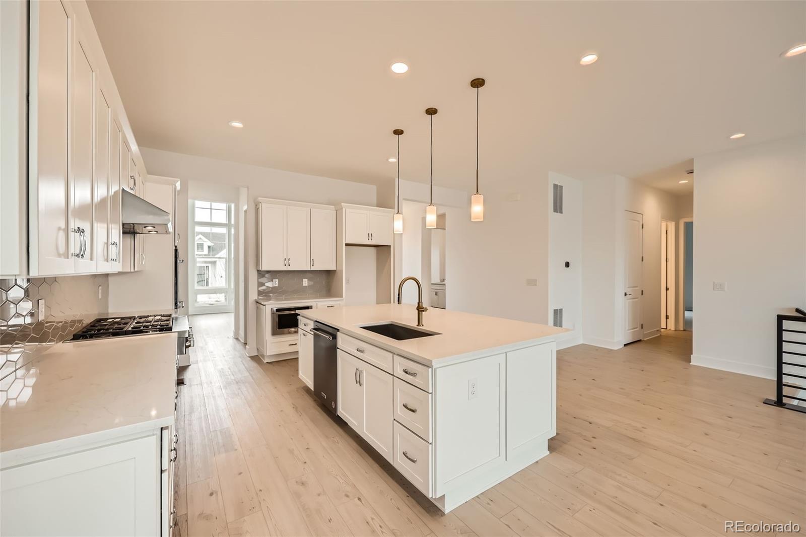 MLS Image #6 for 619  scrubjay circle,castle rock, Colorado