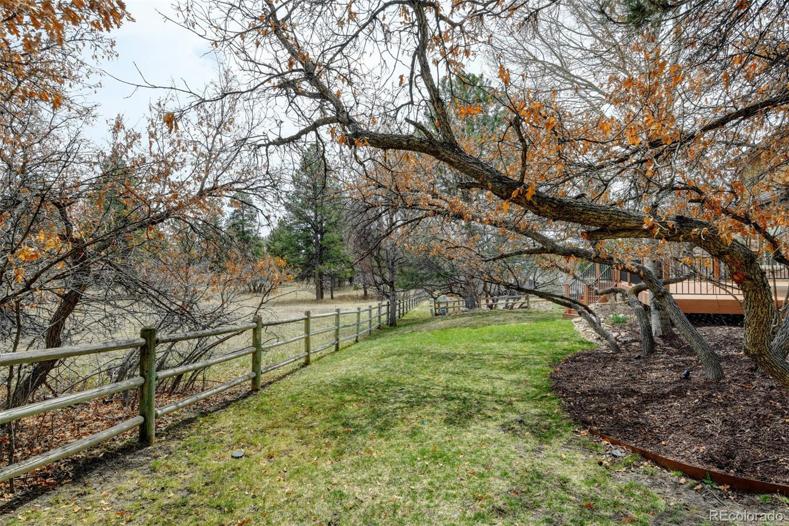 MLS Image #38 for 5596  quinlin court,parker, Colorado