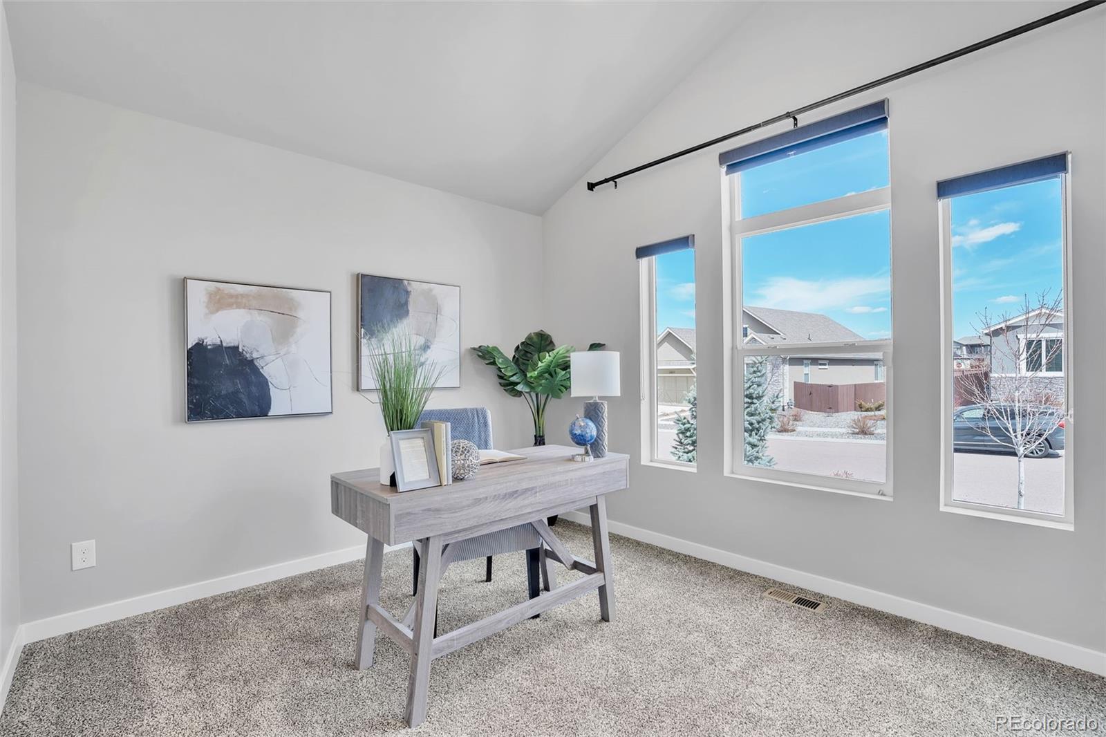 MLS Image #22 for 11068  crisp air drive,colorado springs, Colorado