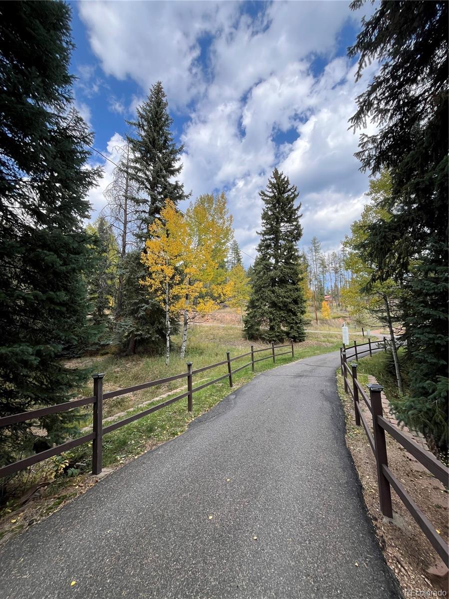 MLS Image #4 for 34498  forest estates road,evergreen, Colorado