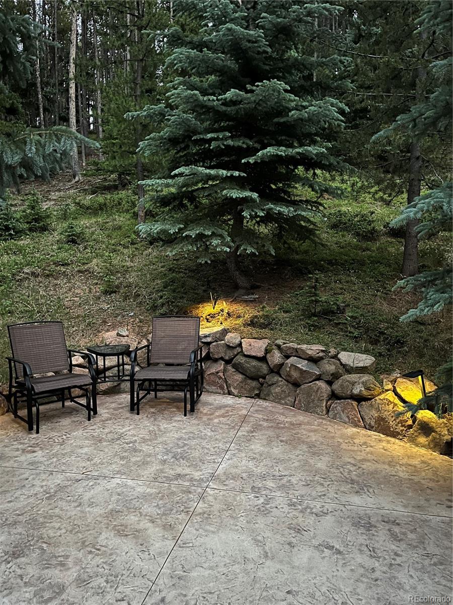 MLS Image #40 for 34498  forest estates road,evergreen, Colorado