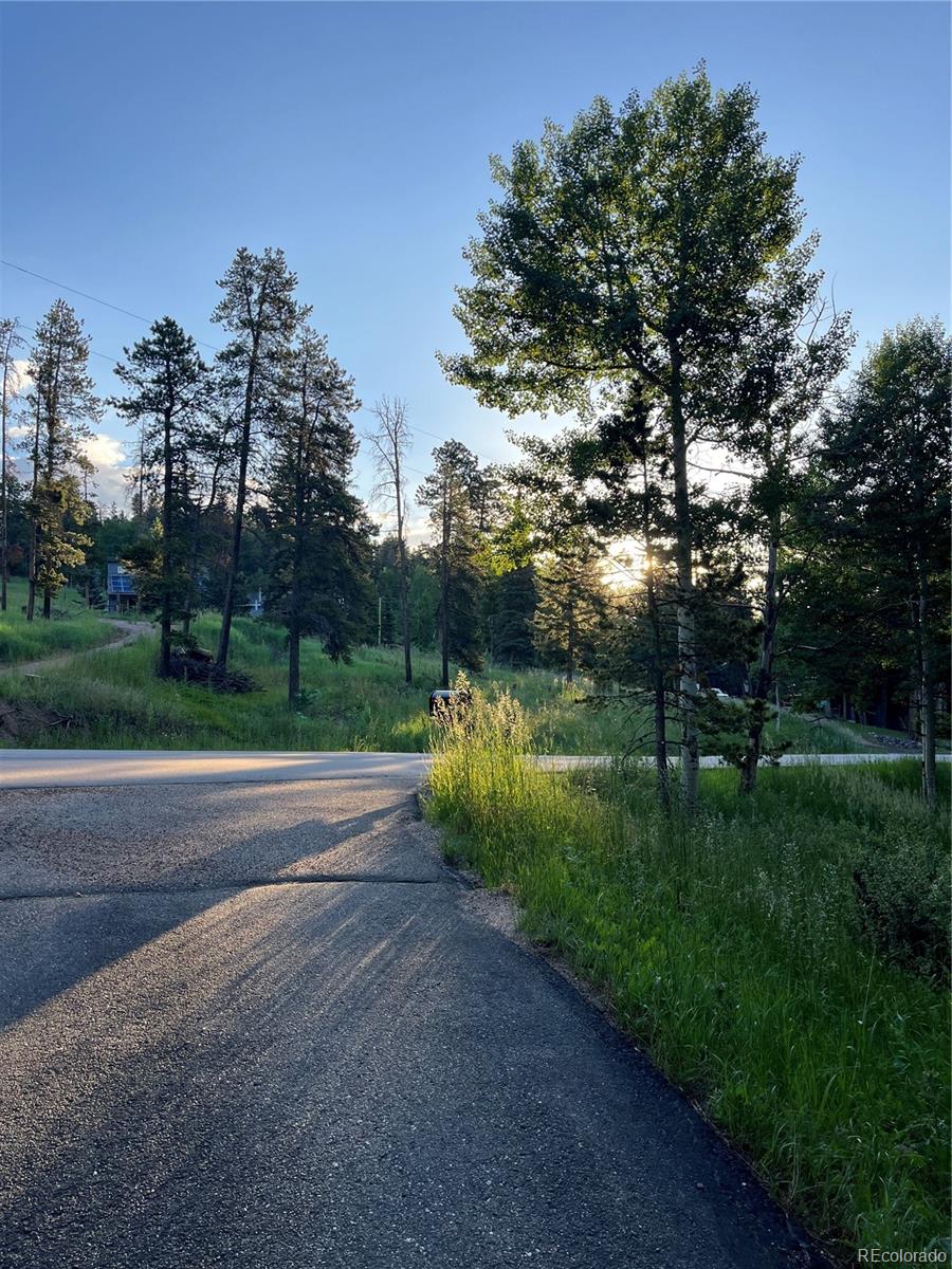 MLS Image #43 for 34498  forest estates road,evergreen, Colorado