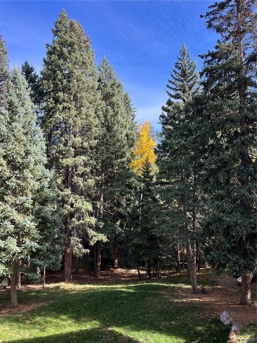 MLS Image #45 for 34498  forest estates road,evergreen, Colorado