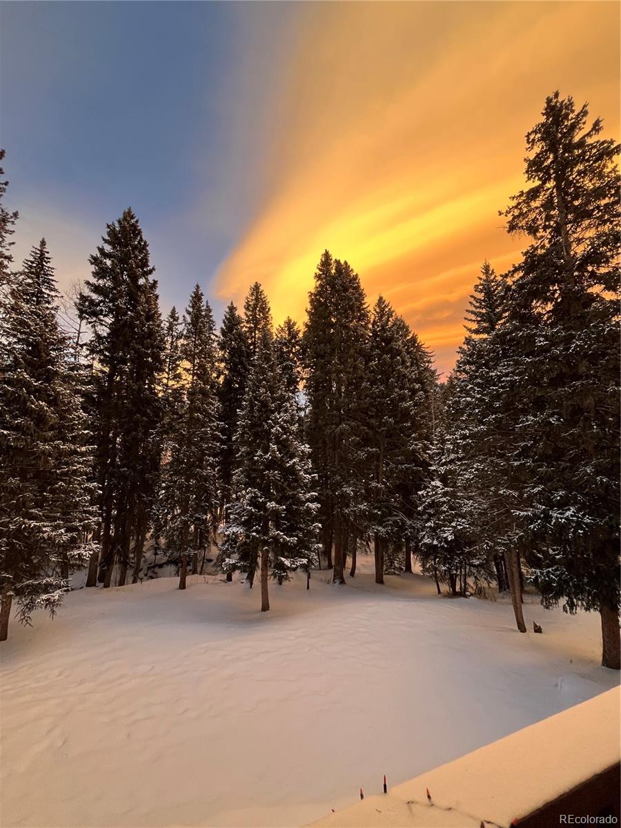 MLS Image #48 for 34498  forest estates road,evergreen, Colorado