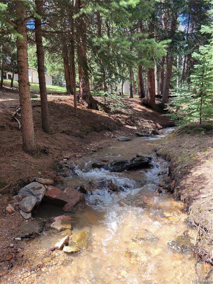 MLS Image #5 for 34498  forest estates road,evergreen, Colorado