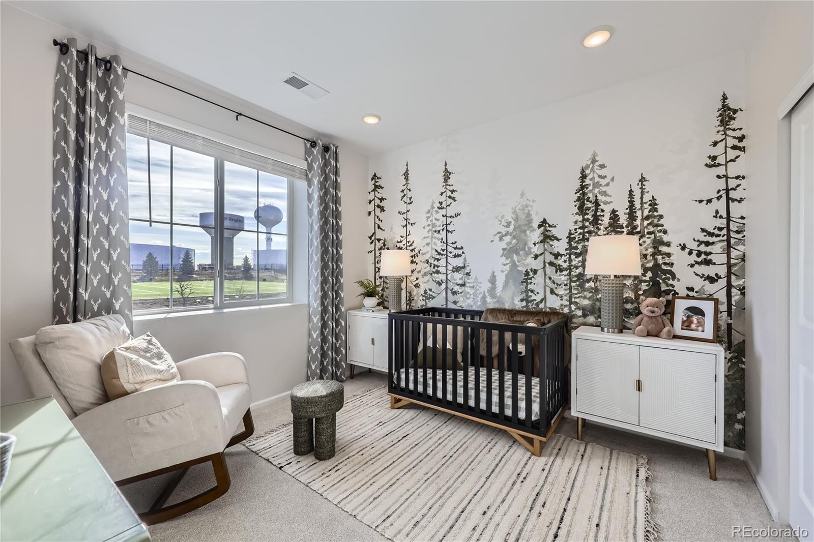 MLS Image #17 for 4096  estrella street,brighton, Colorado