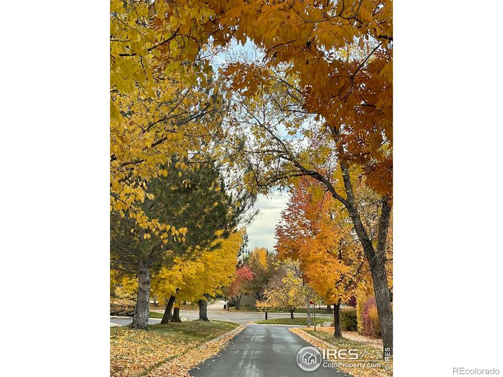 MLS Image #33 for 7240  clubhouse road,boulder, Colorado
