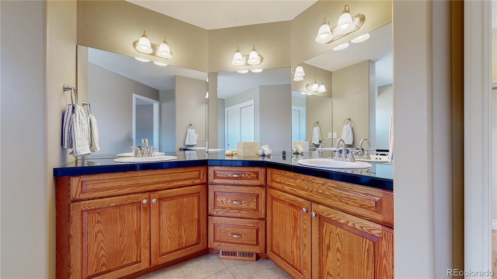 MLS Image #13 for 10950  elk horn run,littleton, Colorado