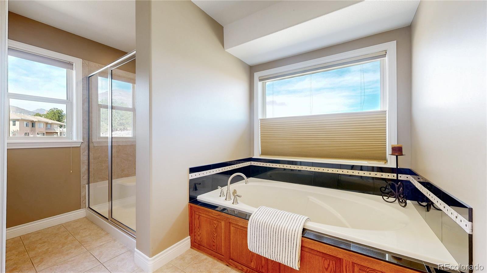 MLS Image #14 for 10950  elk horn run,littleton, Colorado