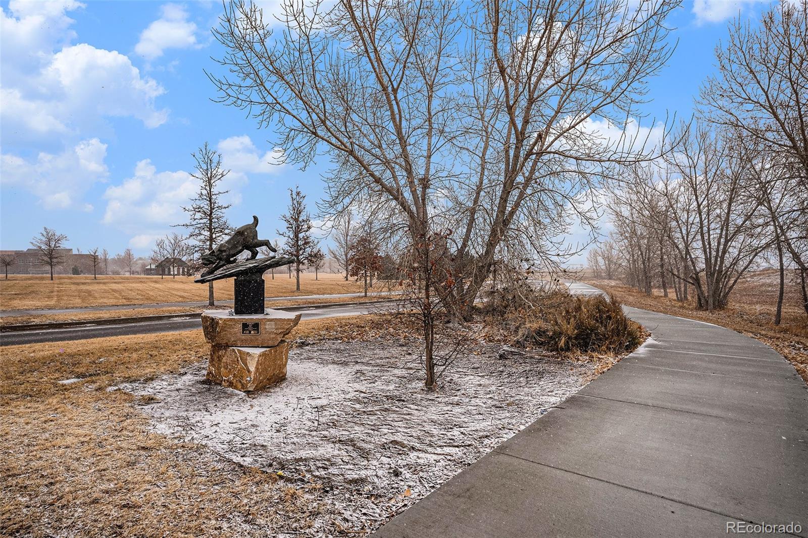 MLS Image #29 for 225  longspur drive,brighton, Colorado
