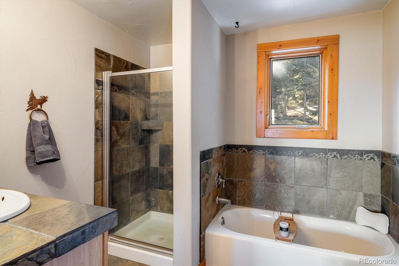 MLS Image #23 for 636  chute road,golden, Colorado