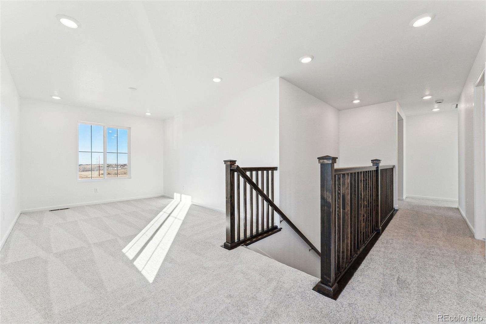 MLS Image #14 for 8950  whiteclover street,littleton, Colorado