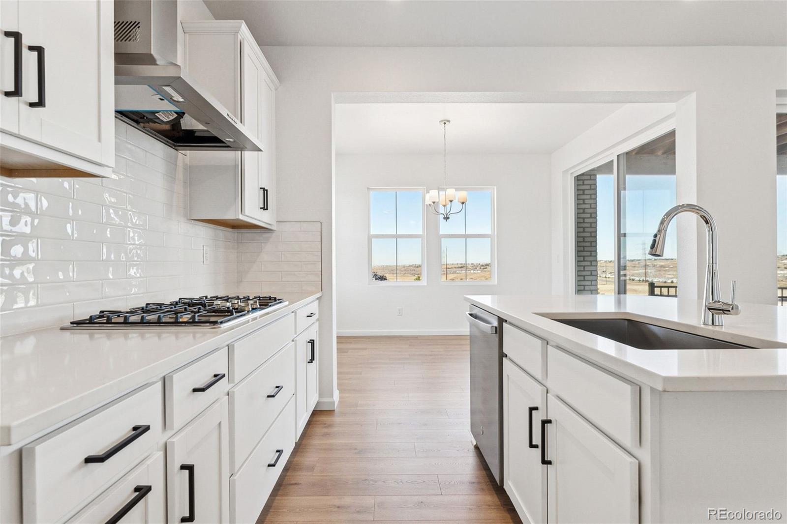 MLS Image #5 for 8950  whiteclover street,littleton, Colorado