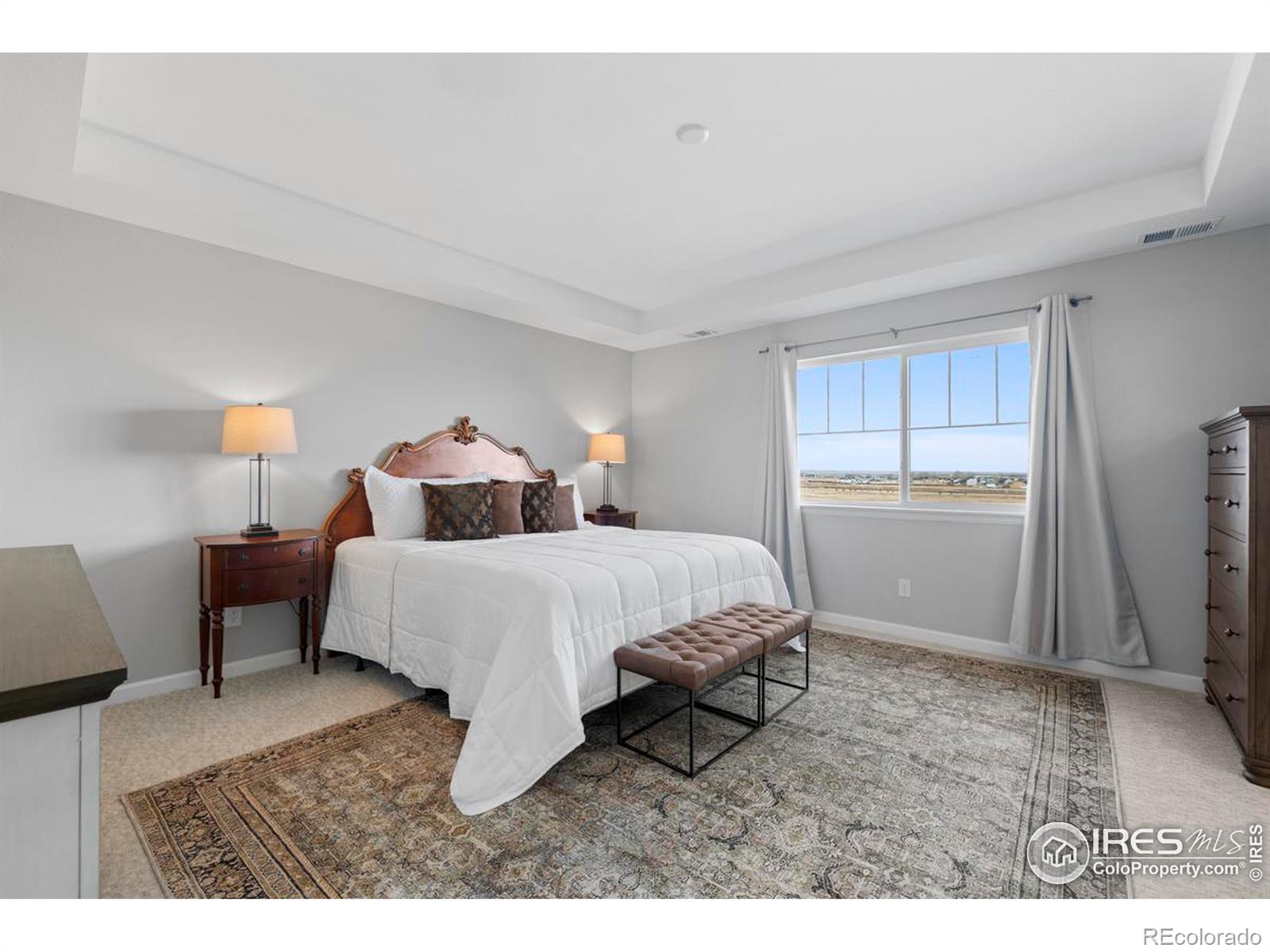 MLS Image #18 for 5966  indian wells court,windsor, Colorado