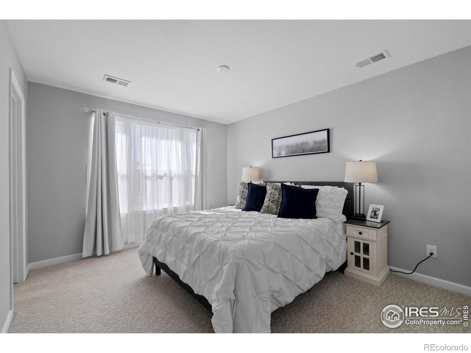MLS Image #23 for 5966  indian wells court,windsor, Colorado